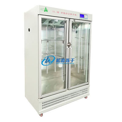 雙開門層析實驗冷柜